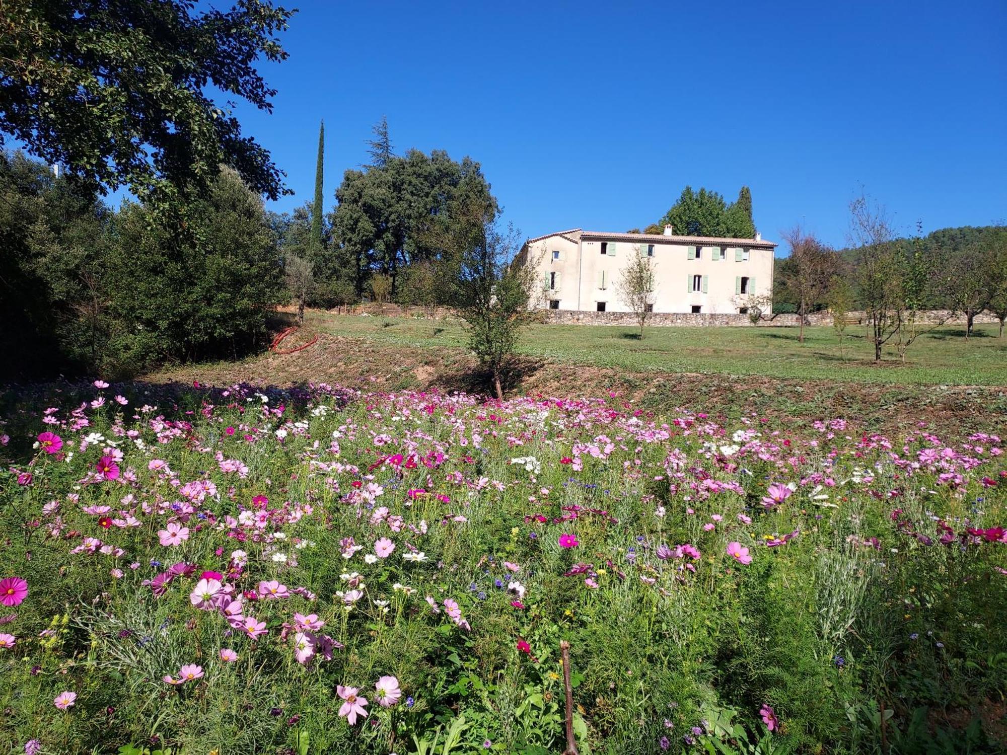 Les Jardins De Falguiere Saint-Jean-du-Gard Exterior photo